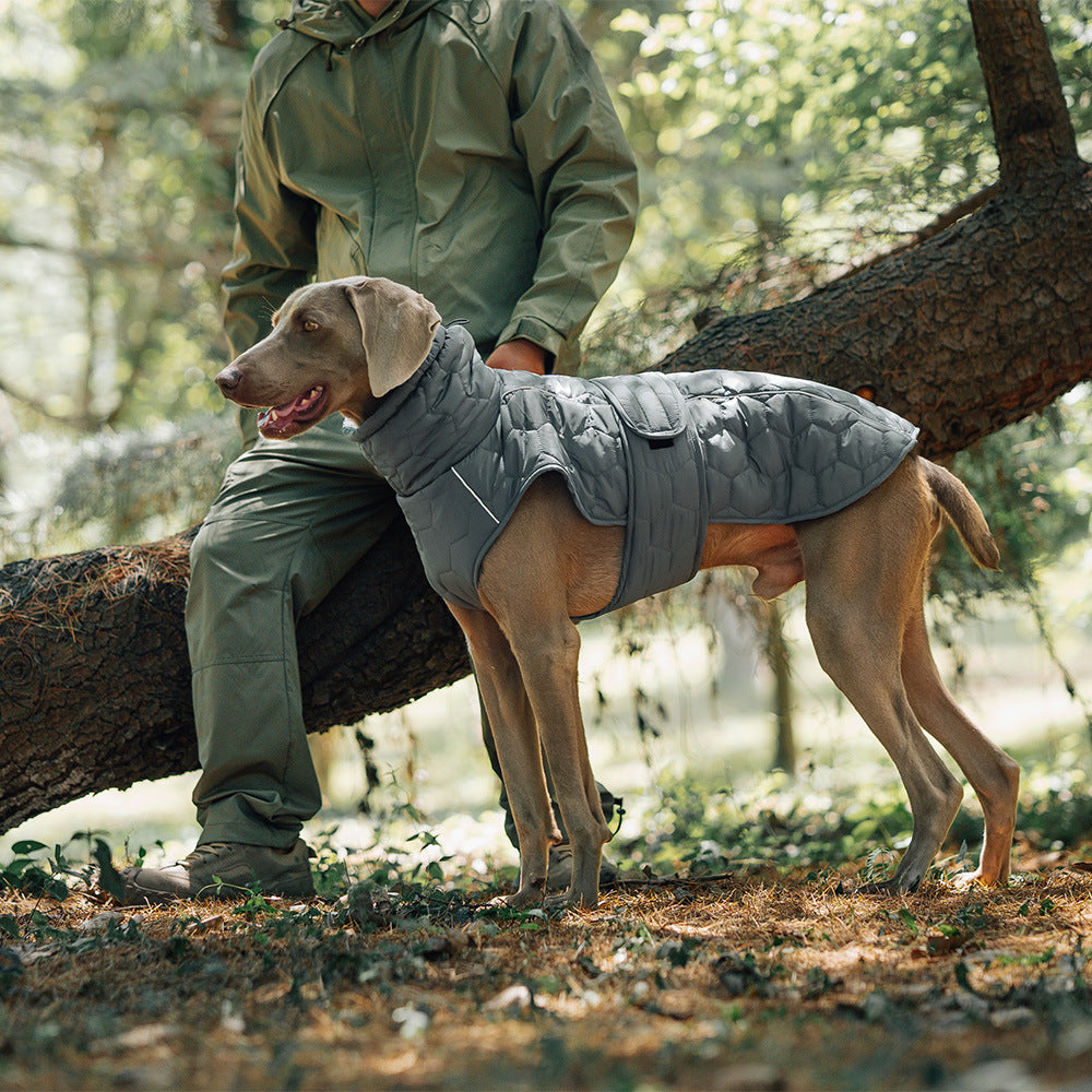 Chaleco de abrigo de algodón para perros, grueso y cálido
