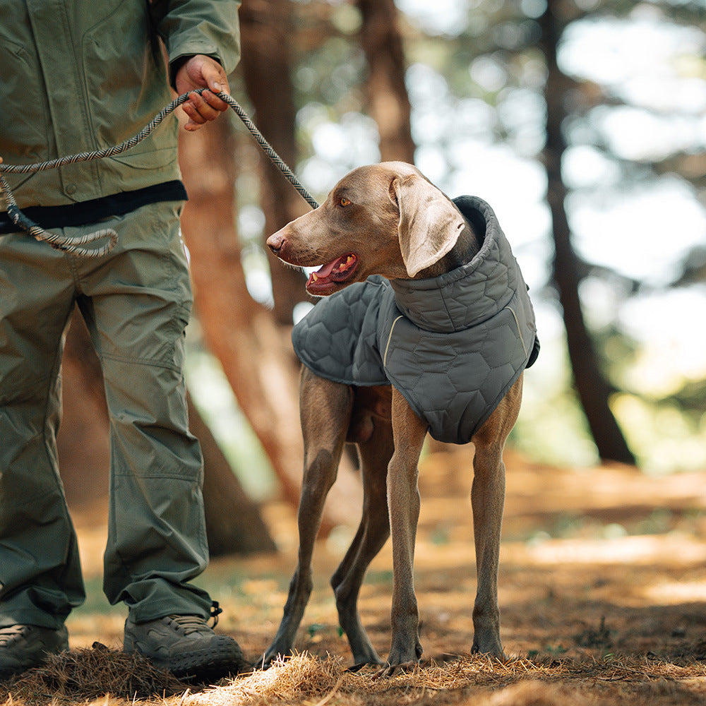 Chaleco de abrigo de algodón para perros, grueso y cálido