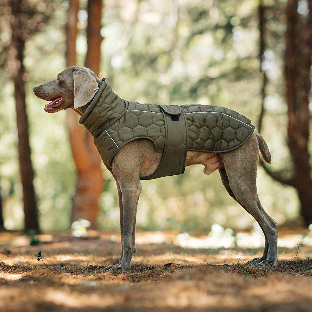 Chaleco de abrigo de algodón para perros, grueso y cálido
