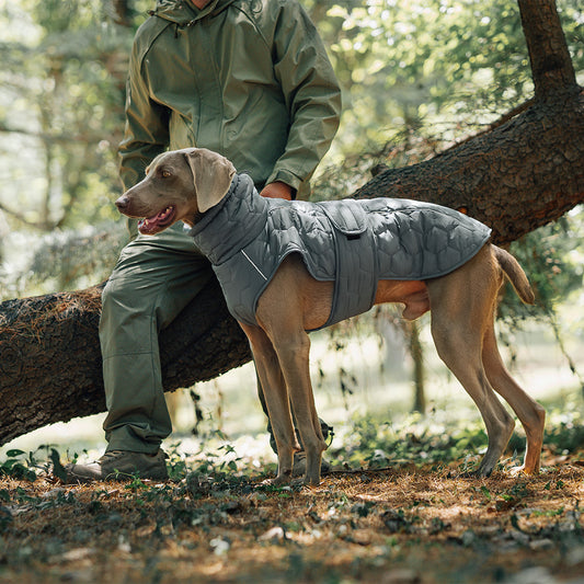 Chaleco de abrigo de algodón para perros, grueso y cálido