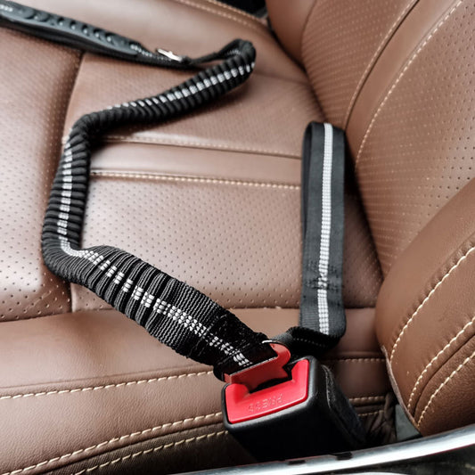 Correa para cinturon de coche y paseo